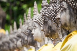 A row of beautiful Buddha statues at the temple
