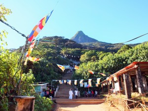 Looking back at Adam’s Peak after climbing down. Whew!