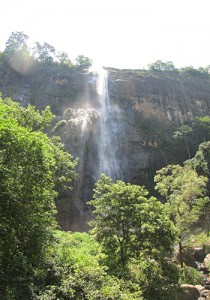 Nuwara Eliya area is brimming with stunning waterfalls like this one. 