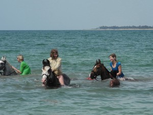 Riding horses into the ocean!